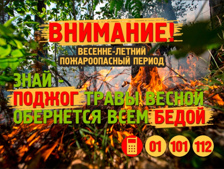 Осторожно, лесные пожары!.